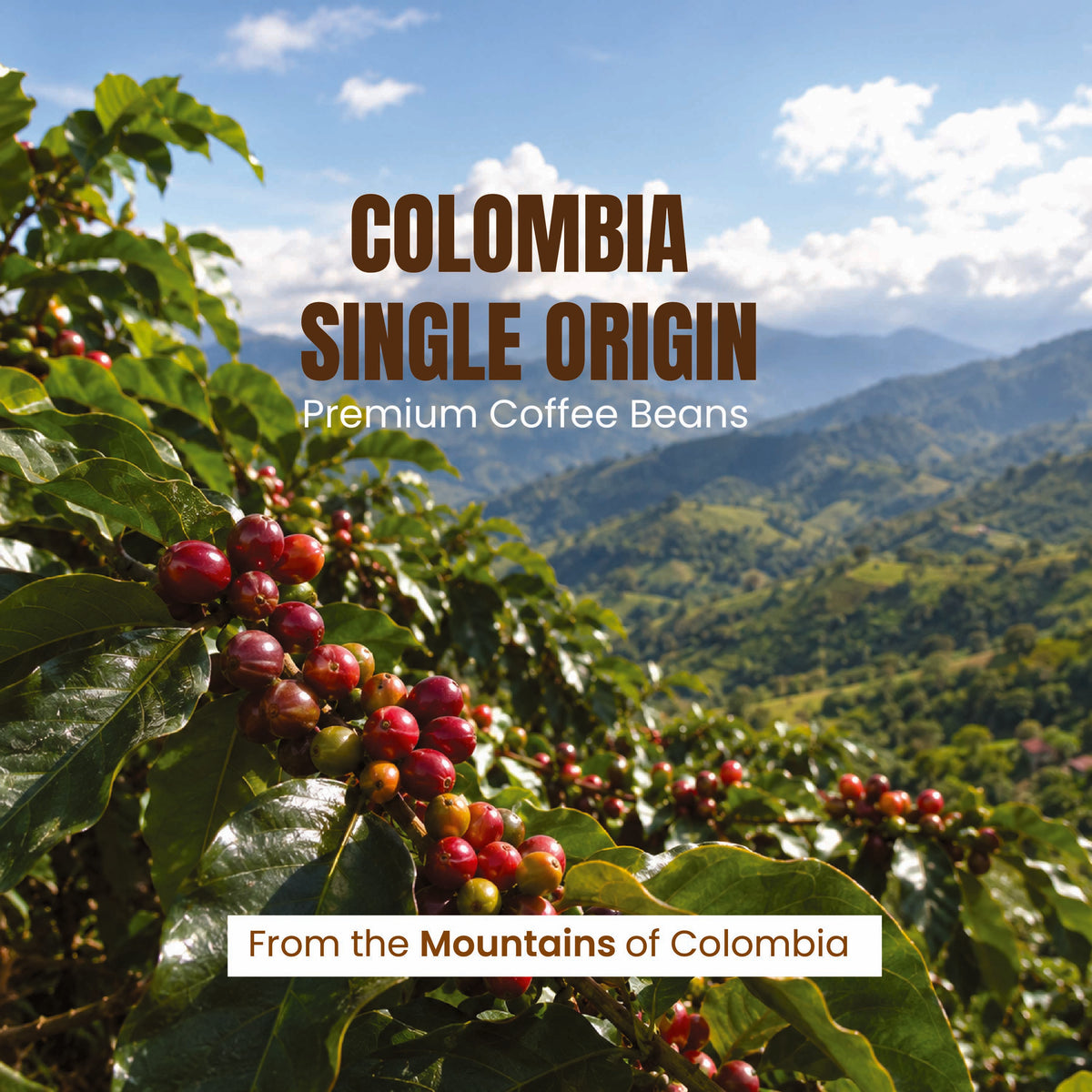 YUKON - Colombia, Single Origin