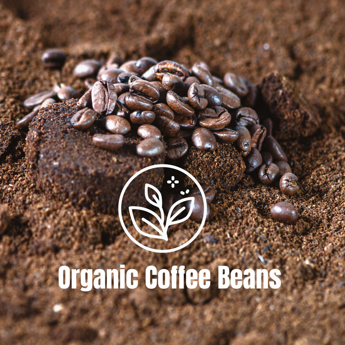 SUMMIT - Brazil, Single Origin